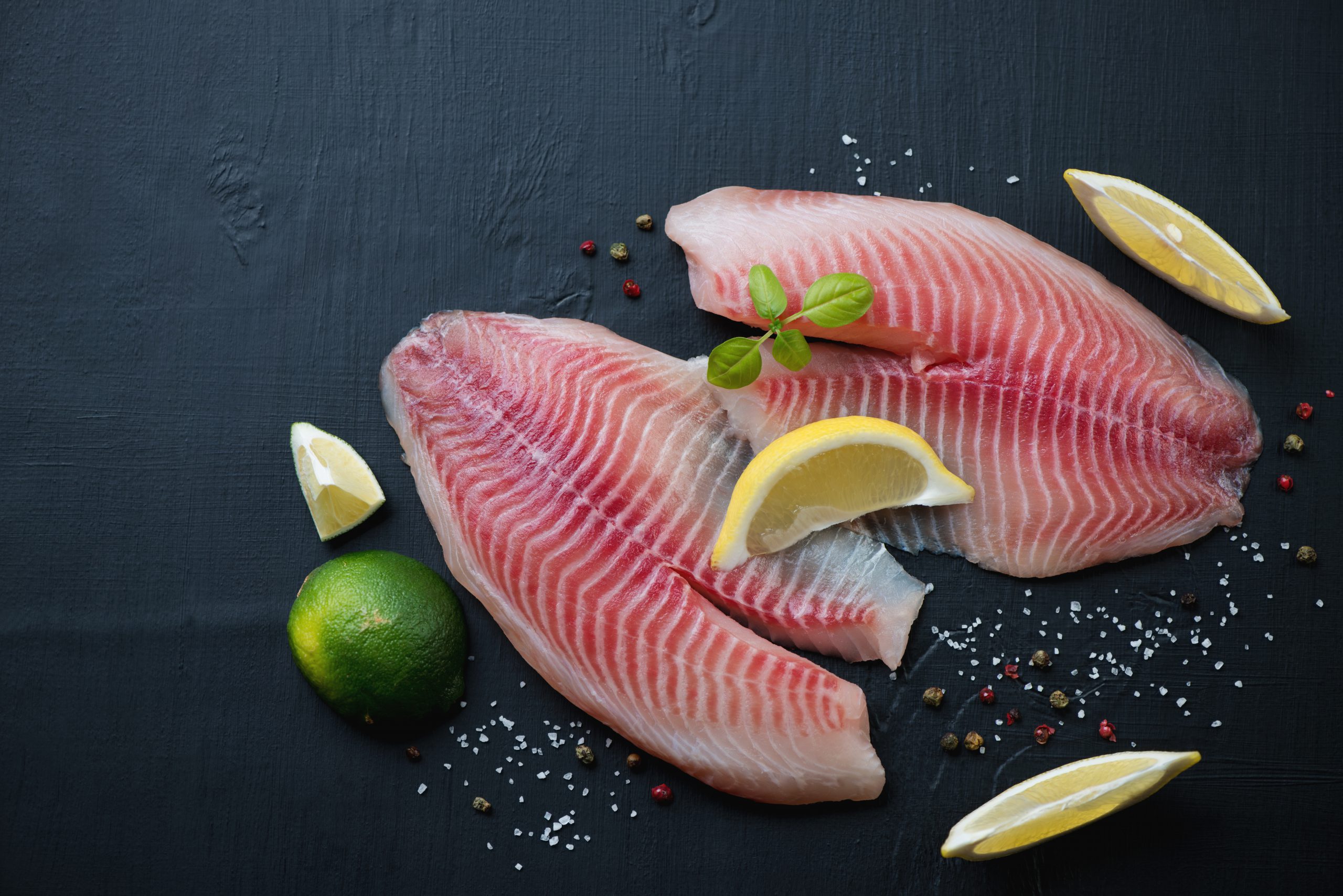 פילה אמנון ישראלי 2