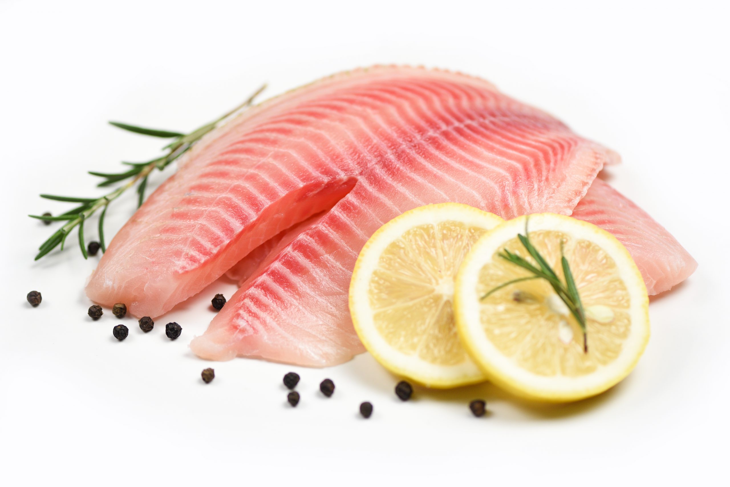 פילה אמנון ישראלי